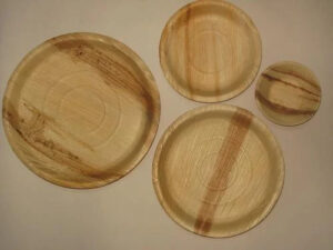 Areca leaf plate business