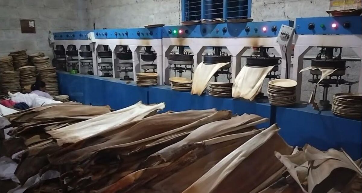 Areca plate manufacturing