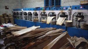 Areca plate manufacturing