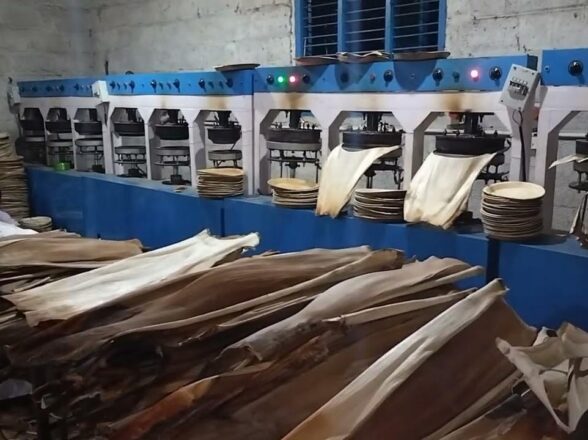 Areca plate manufacturing